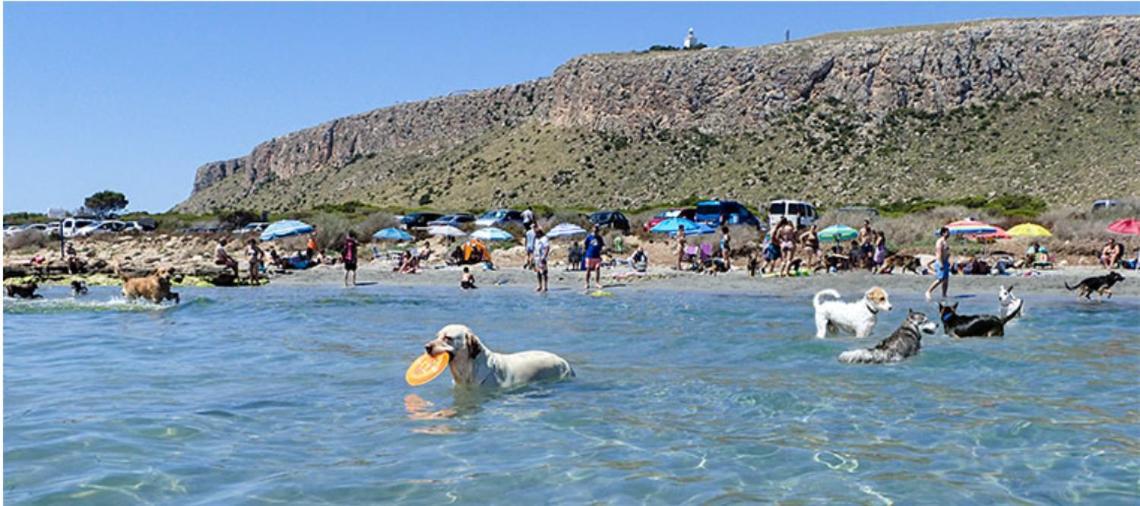 Adosado Tranquilo Con Piscina Y Vistas Al Mar Lägenhet Puerto Marino Exteriör bild